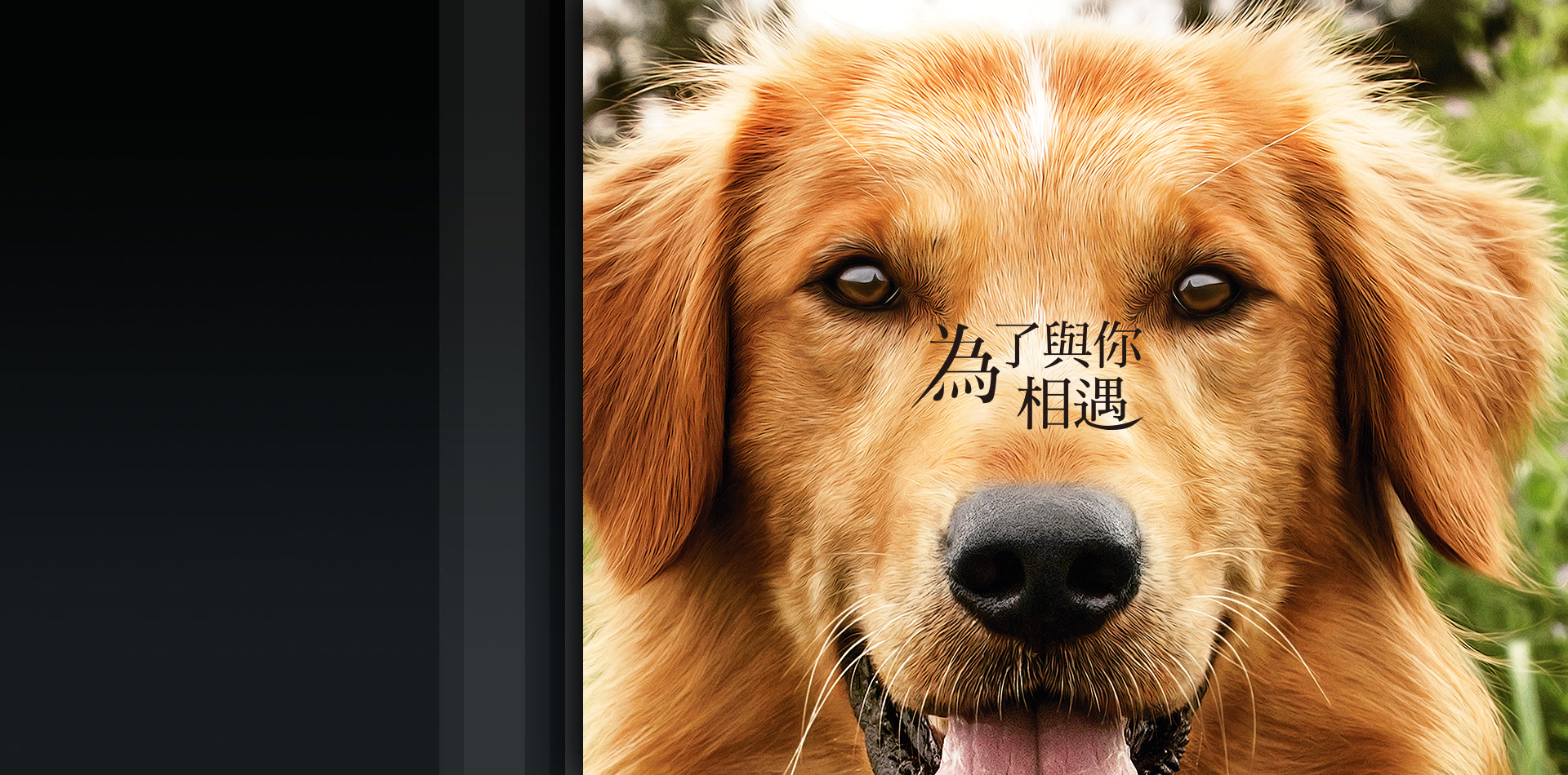 為了與你相遇
