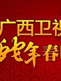 广西卫视2013春晚