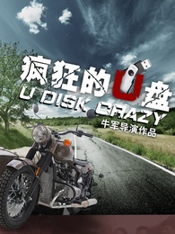 疯狂的u盘
