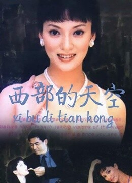 西部的天空(更新至22集)-全集在线观看-电视剧