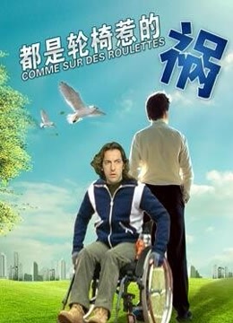 都是轮椅惹的祸-在线观看-电影-爱奇艺全网影视