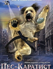 经典空手道电影 - 特色电影院 - 爱奇艺全网影视