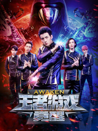 王者游戏:觉醒